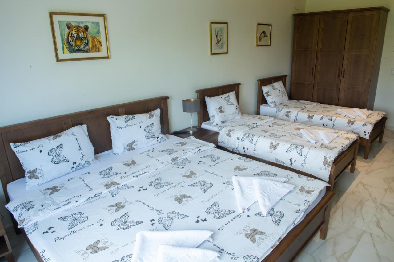Zoo Misic Prenociste Hotel Vranje Ngoại thất bức ảnh