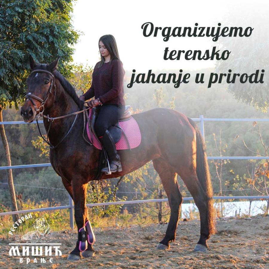 Zoo Misic Prenociste Hotel Vranje Ngoại thất bức ảnh
